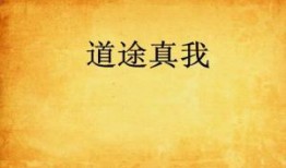 道途我为尽,我行尽天涯