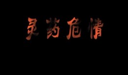 灵药危情,揭秘神秘药物背后的生死较量