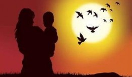 一个母亲,一位母亲的故事与感悟