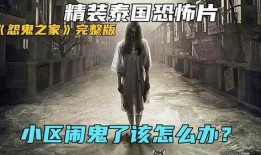 怨鬼之家,揭秘幽冥之谜的惊悚探秘之旅