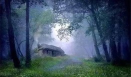 从此无心爱良夜,探寻心灵转变的轨迹