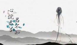 从此无心爱良夜,探寻心灵转变的轨迹