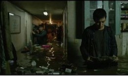 社会寄生虫,剖析其生存之道与危害