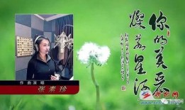 曲尽星河灿,探寻宇宙奥秘的璀璨之旅