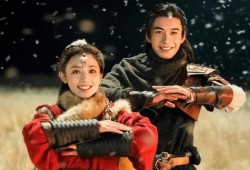 东宫传,宫廷权谋与爱恨情仇的纠葛