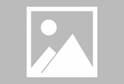 格林伍德崛起：黑色华尔街的崛起,格林伍德区如何重塑黑色华尔街的辉煌