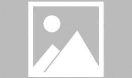 格林伍德崛起：黑色华尔街的崛起,格林伍德区如何重塑黑色华尔街的辉煌