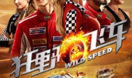 狂野飞车,速度与激情的极限挑战之旅