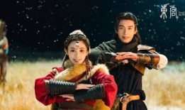 东宫传,宫廷权谋与爱恨情仇的纠葛