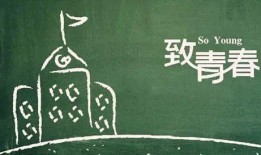 一票青春,青春记忆里的那些年